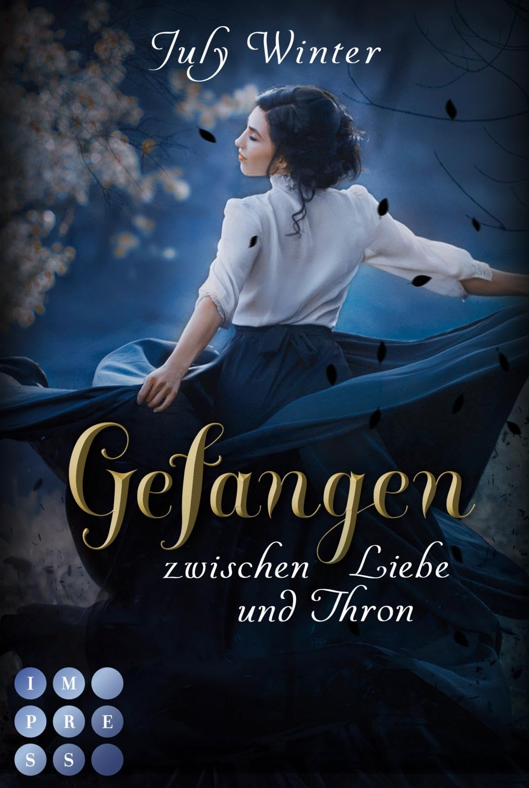 Gefangen zwischen Liebe und Thron (Sturmwanderer 2): Fantasy-Liebesroman über die verbotene Liebe zu einem verloren geglaubten Prinzen