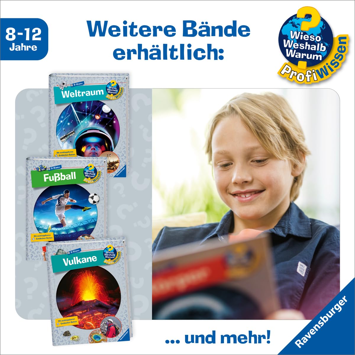Wieso? Weshalb? Warum? ProfiWissen, Band 25 - Vulkane (Sachbuch ab 8 Jahre) (ProfiWissen, 25)