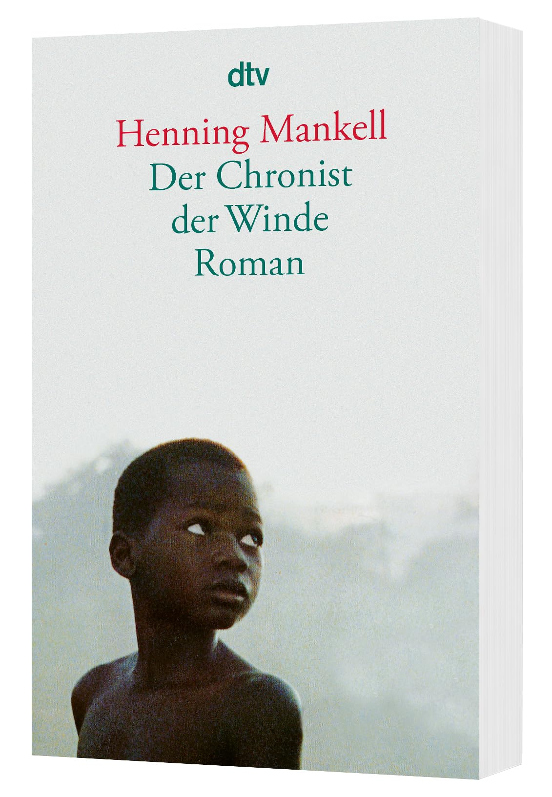 Der Chronist der Winde: Roman