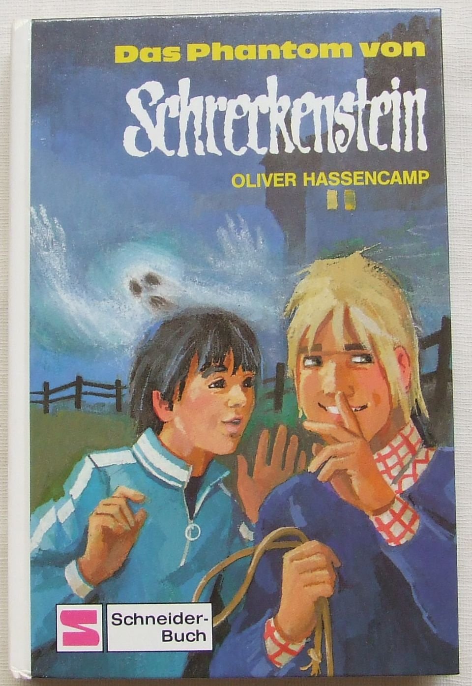 Burg Schreckenstein: Das Phantom von Schreckenstein. Bd. 22