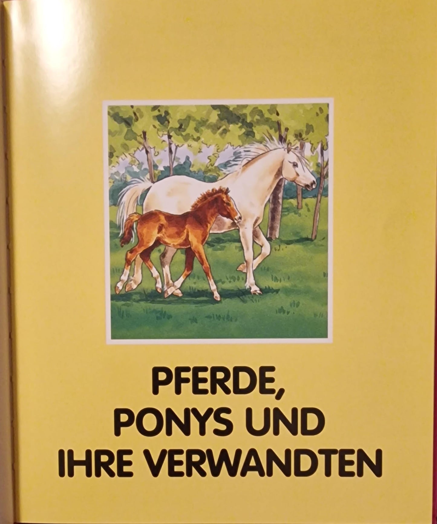 Entdecken-Erfahren-Erzählen PFERDE UND PONYS