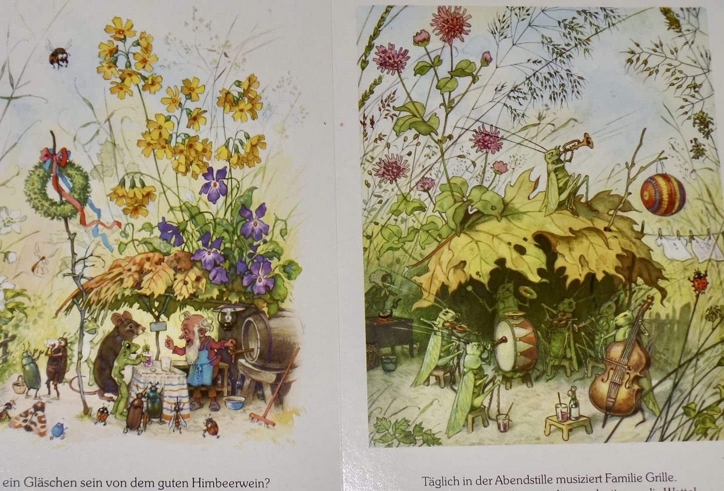 Mein großes Wichtelbuch - neue Geschichten aus dem Wichtelwald