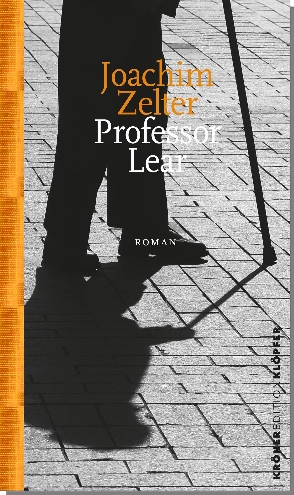 Professor Lear: Roman (KrönerEditionKlöpfer)