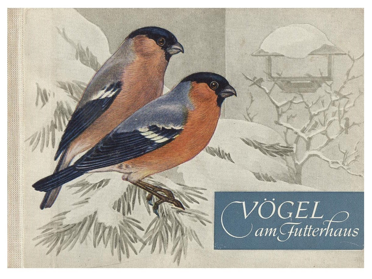 Vögel am Futterhaus. Das kleine Farbbildbuch 10.