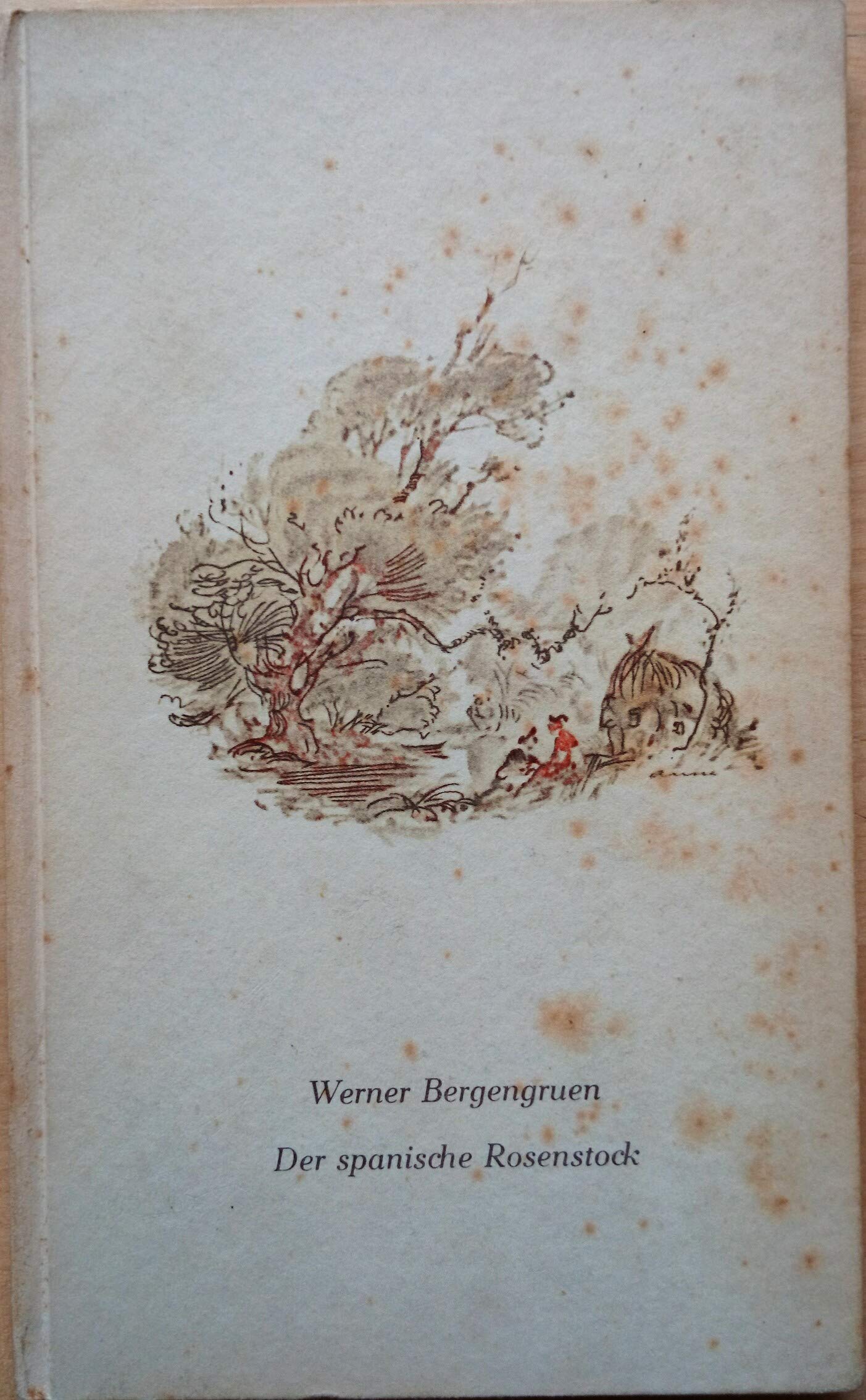 Der spanische Rosenstock