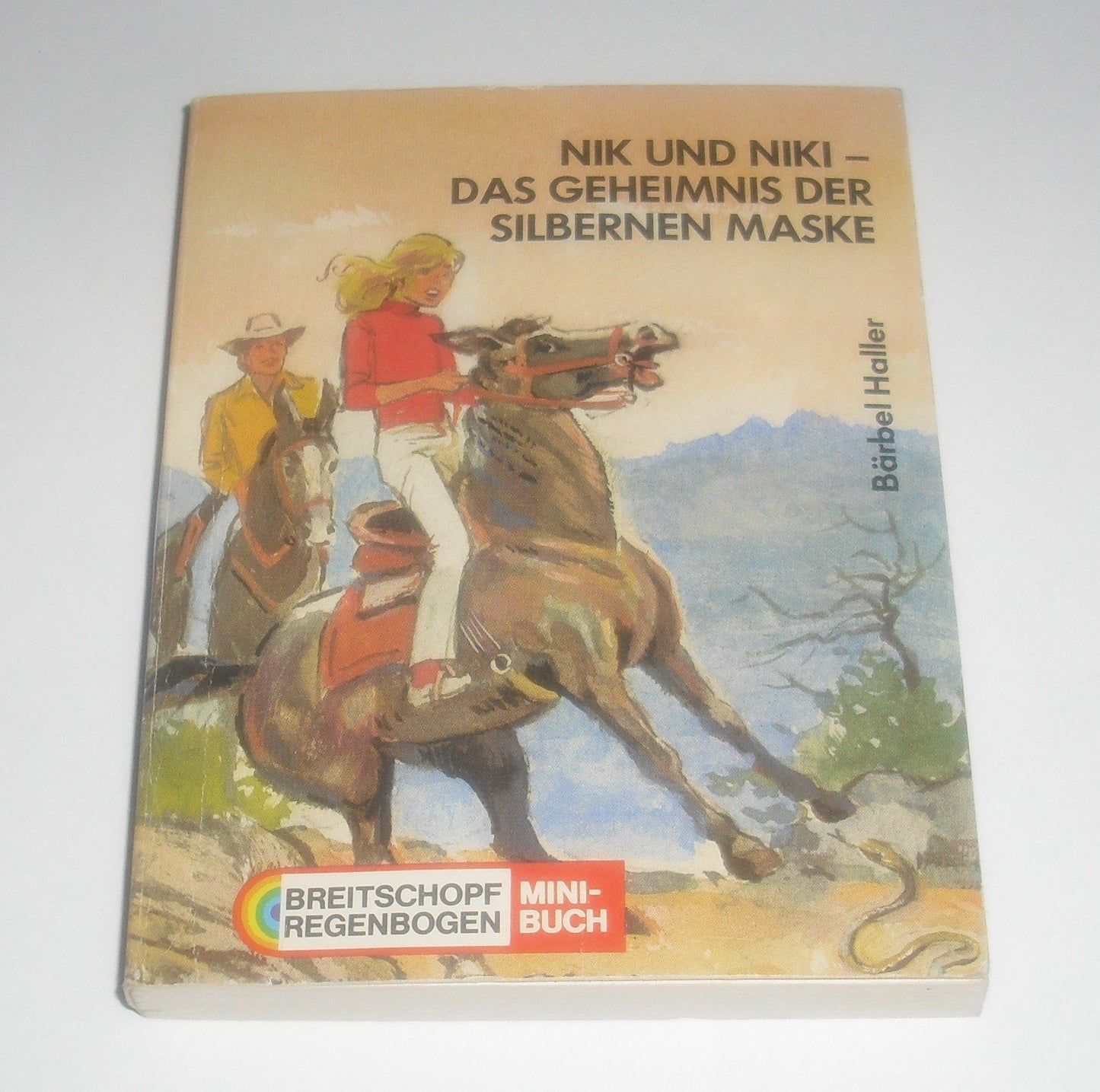 Nik und Niki. - Das Geheimnis der silbernen Maske. ( Mini-Buch )