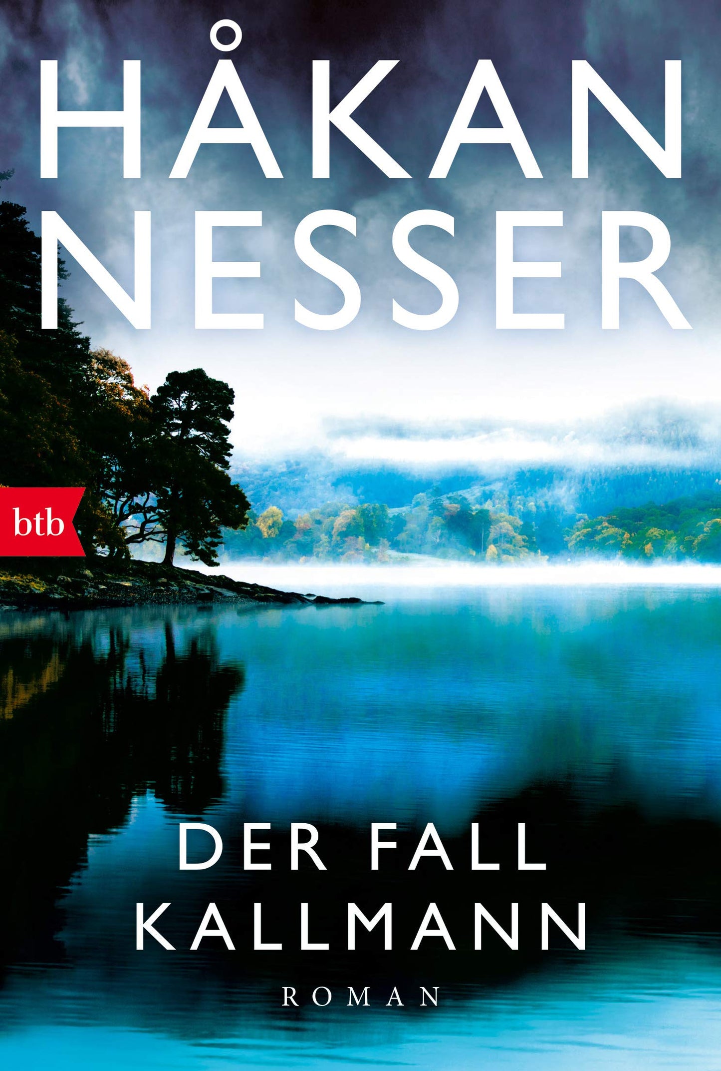 Der Fall Kallmann: Roman