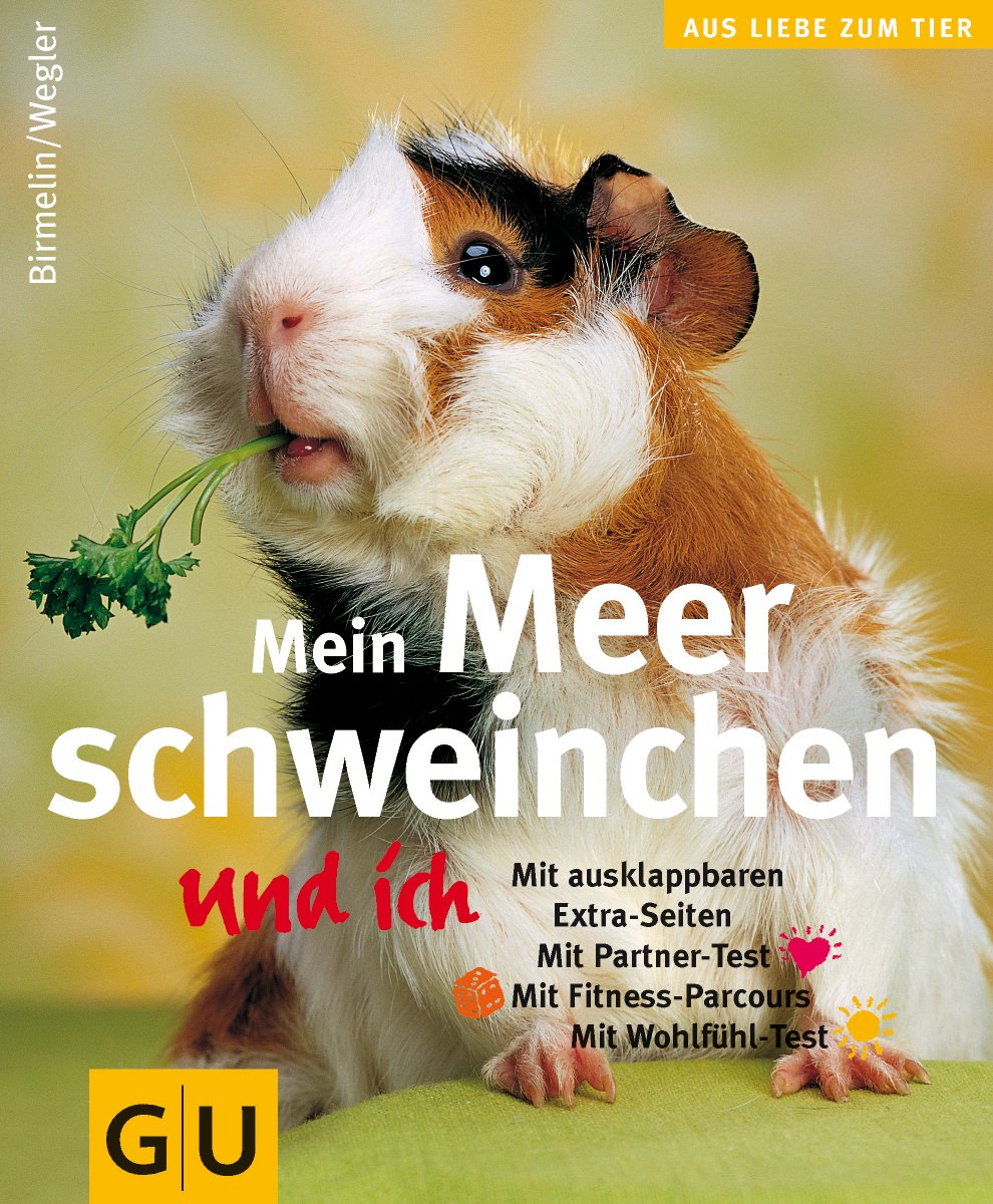 Mein Meerschweinchen und ich: Mit Partner-Test. Mit Fitness-Parcours. Mit Wohlfühl-Test