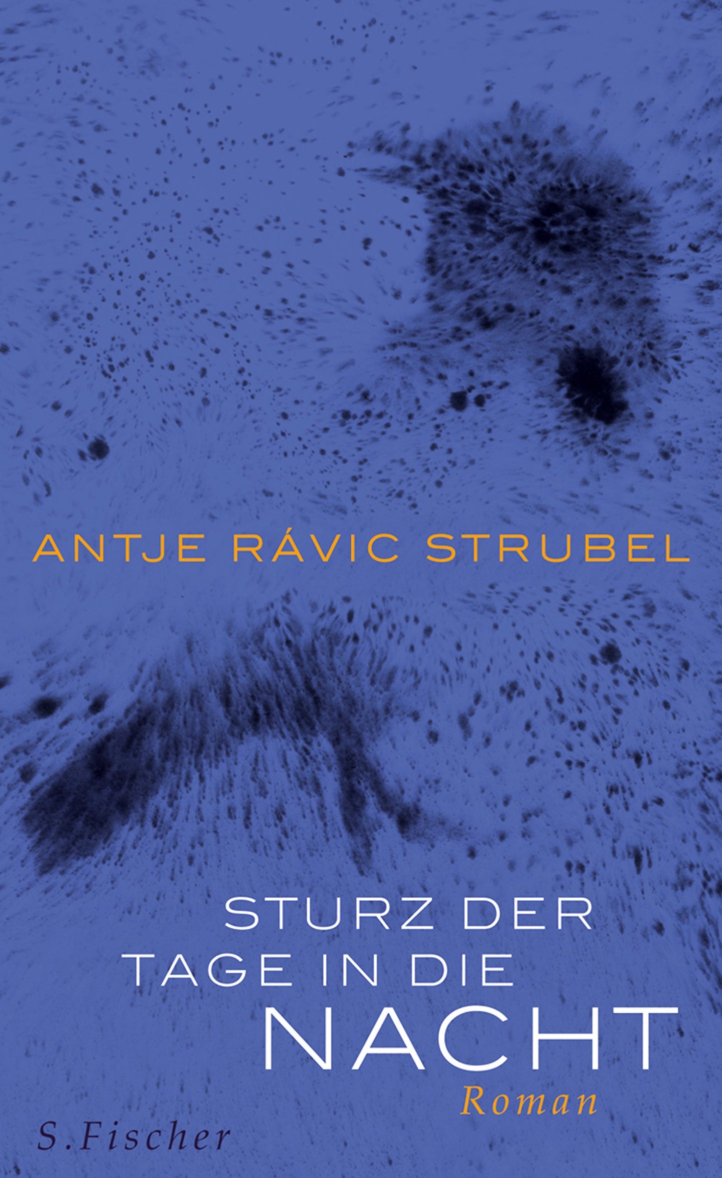 Sturz der Tage in die Nacht: Roman