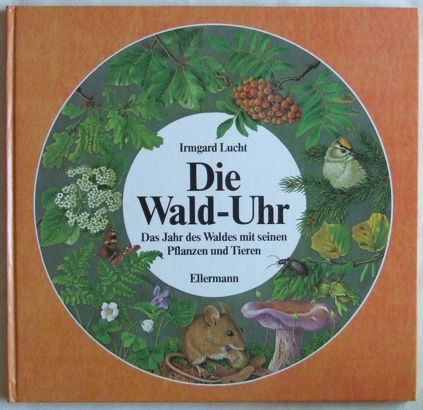 Die Wald-Uhr: Das Jahr des Waldes mit seinen Pflanzen und Tieren (Uhren-Serie)