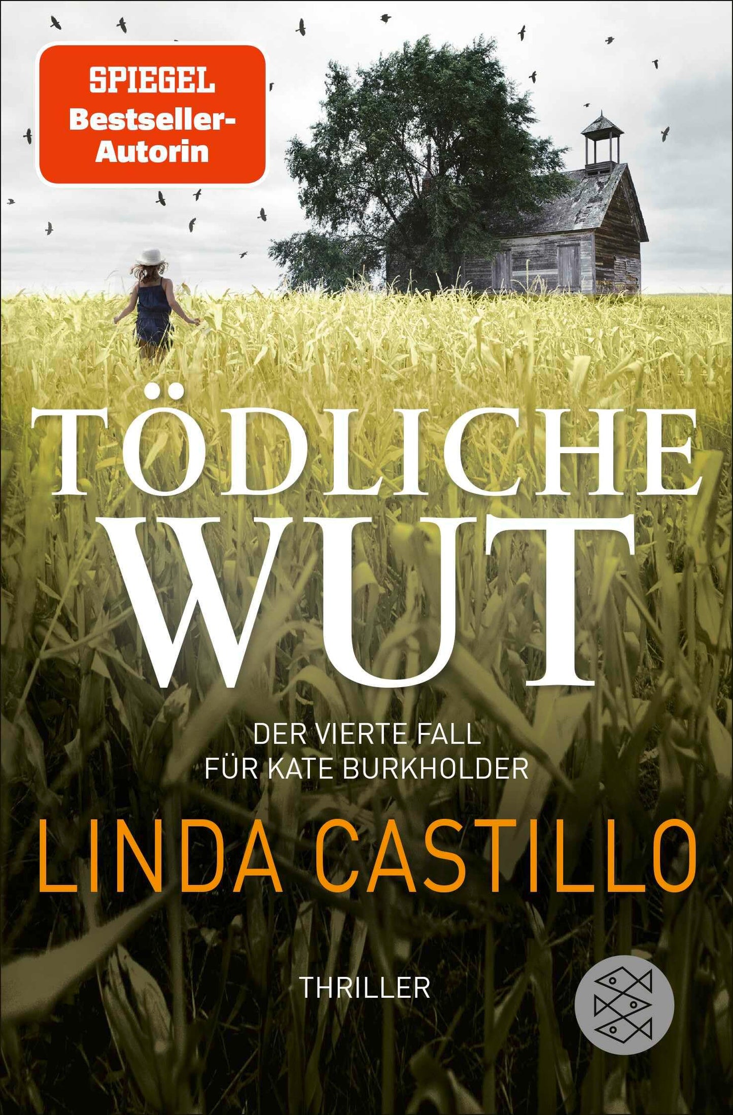 Tödliche Wut: Thriller | Spannender Thriller bei den Amischen (Kate Burkholder ermittelt, Band 4)