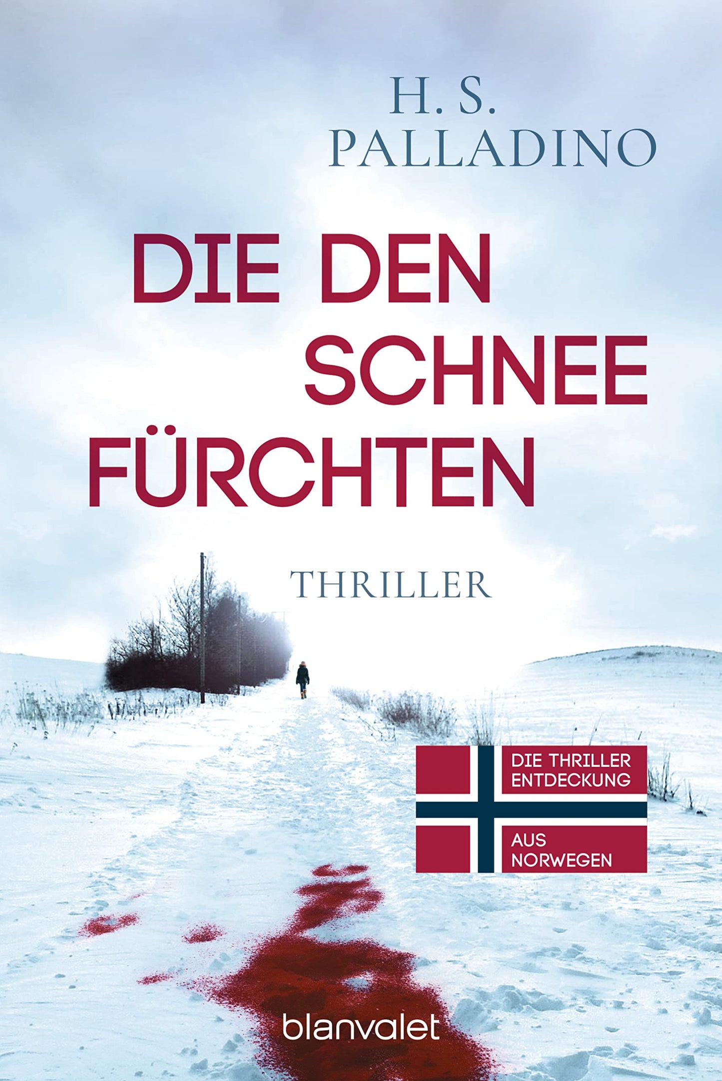 Die den Schnee fürchten: Thriller (Bjørk Isdahl, Band 1)