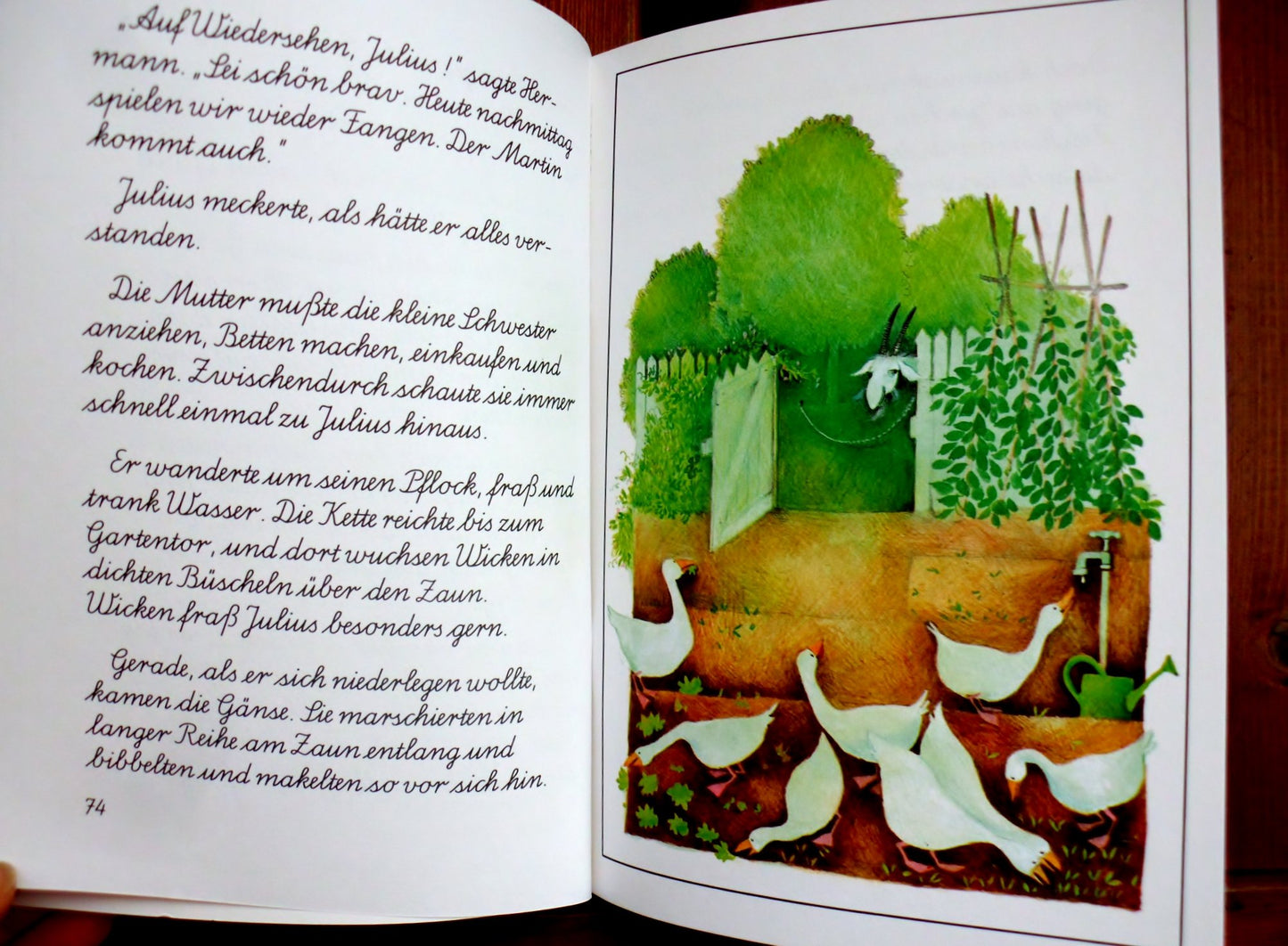 Julius oder die wahre Geschichte vom Ziegenbock, der die Leute solange ärgerte, bis alle ihn haben wollten