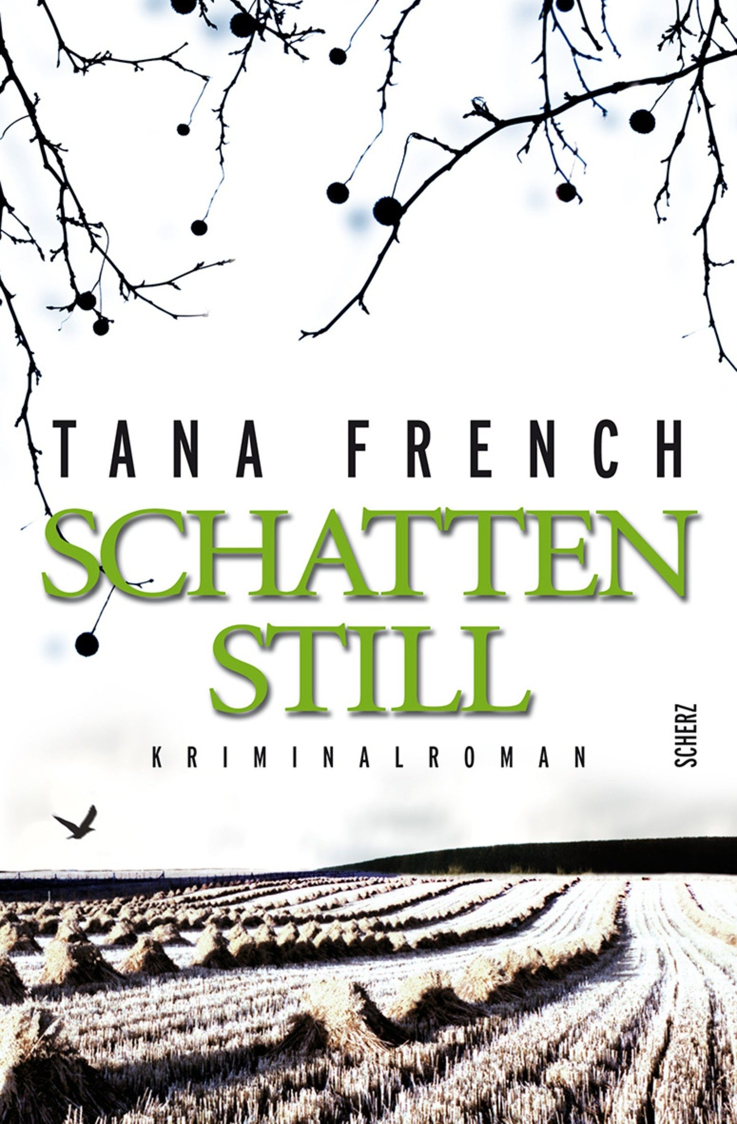 Schattenstill: Kriminalroman (Belletristik (allgemein))