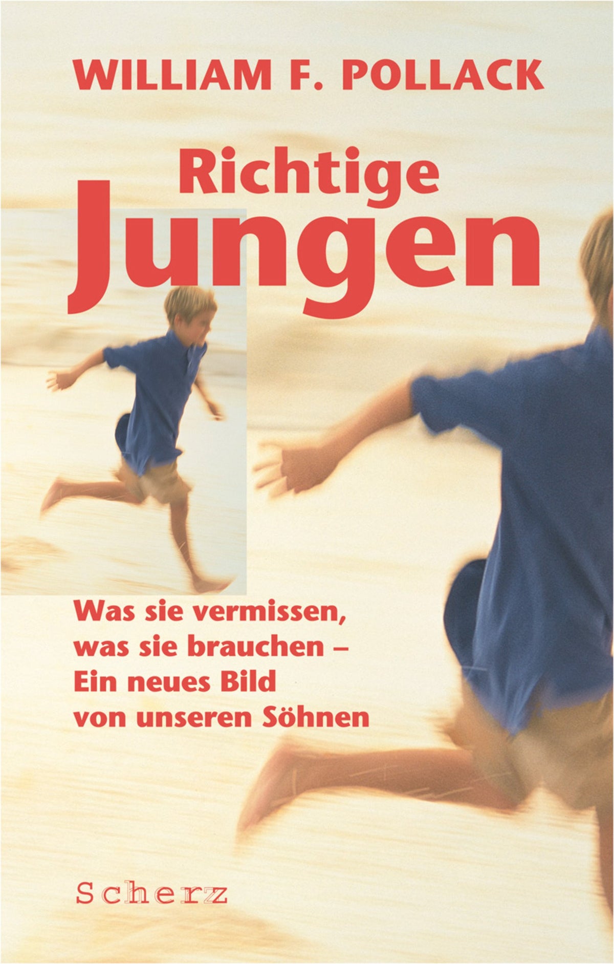 Richtige Jungen. Was sie vermissen, was sie brauchen - Ein neues Bild von unseren Söhnen
