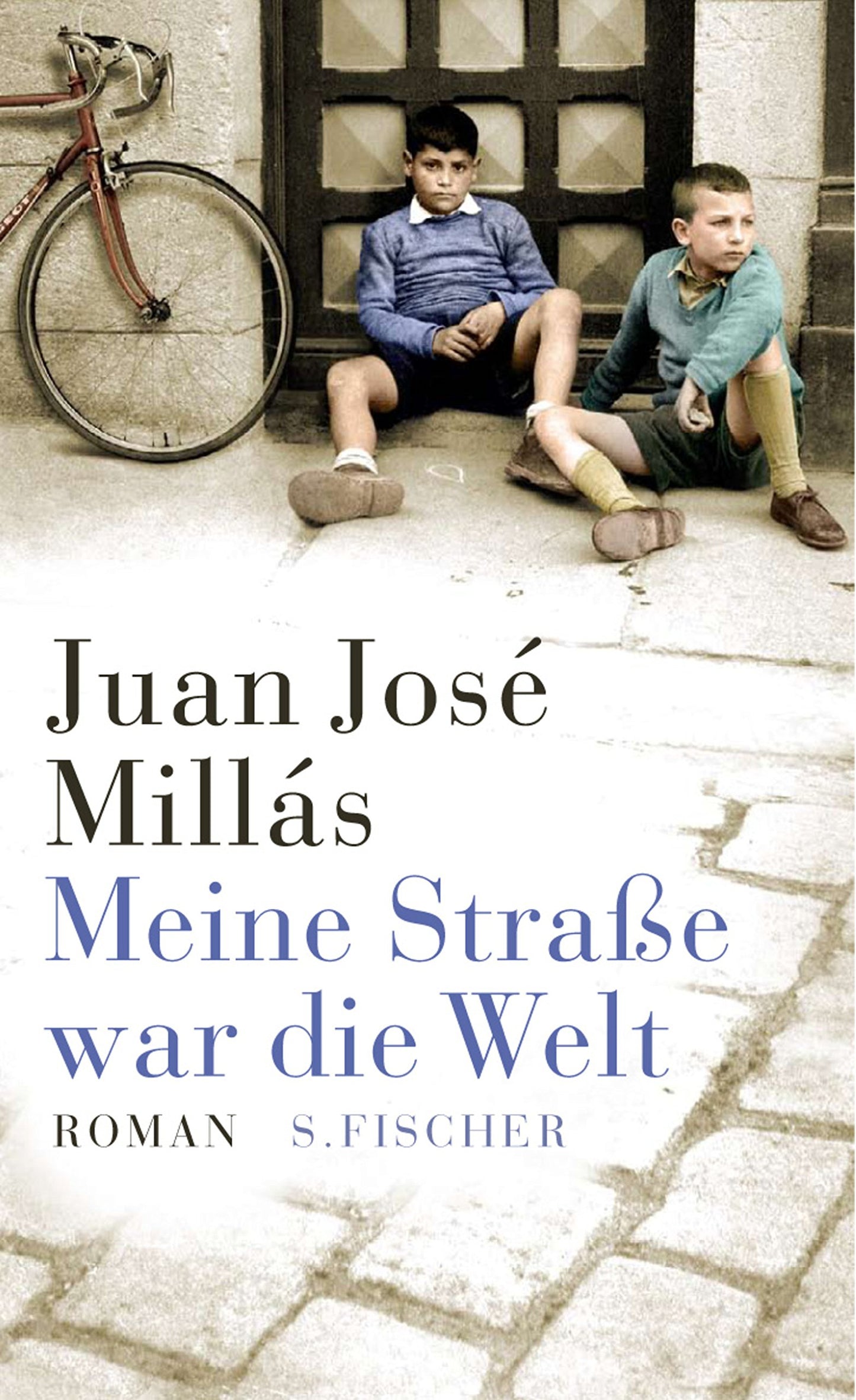 Meine Straße war die Welt: Roman. Ausgezeichnet mit dem Premio Planeta 2007 (Literatur (international))