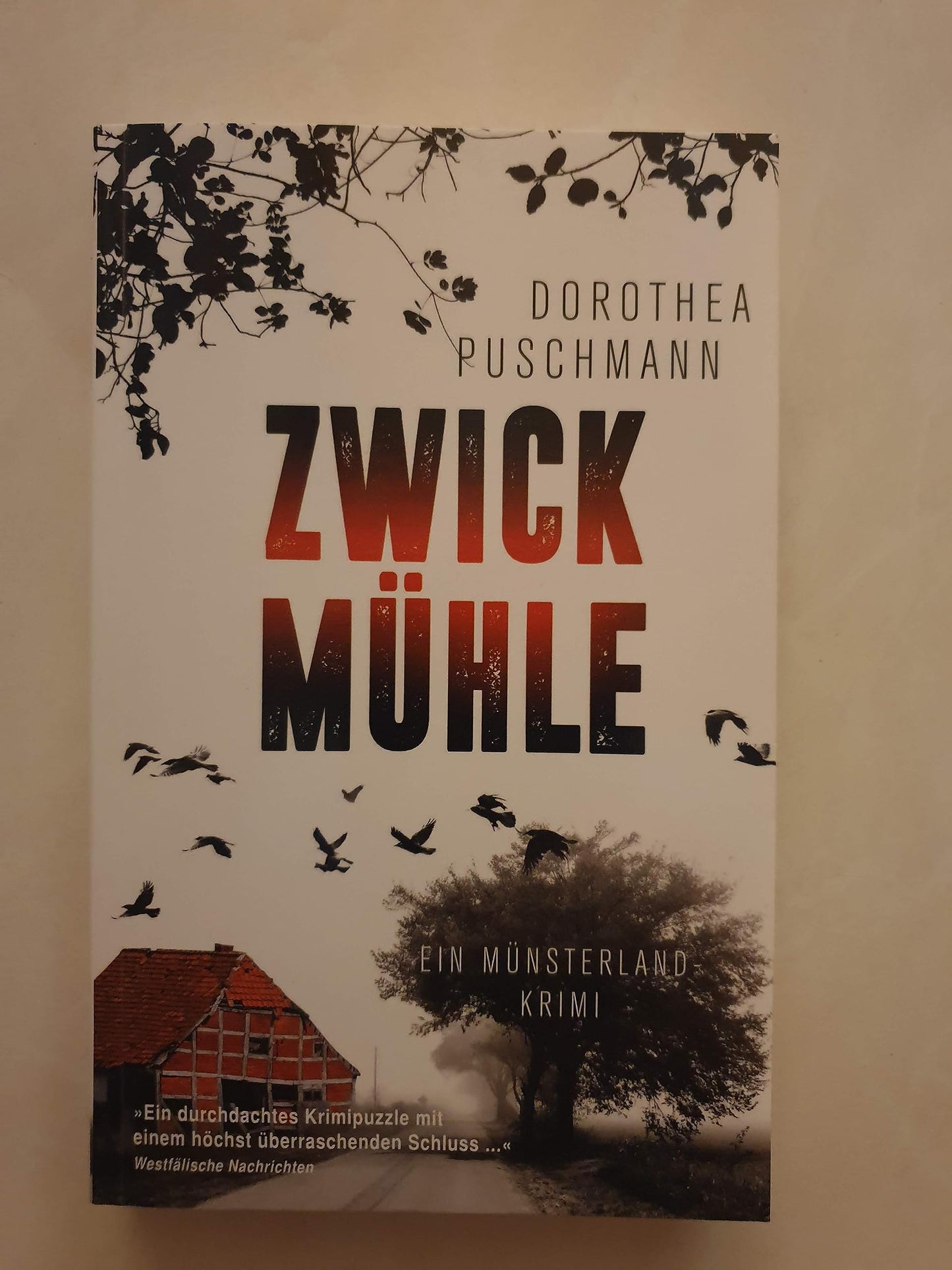 Zwickmühle: Ein Münsterland-Krimi (Kriminalromane im GMEINER-Verlag)