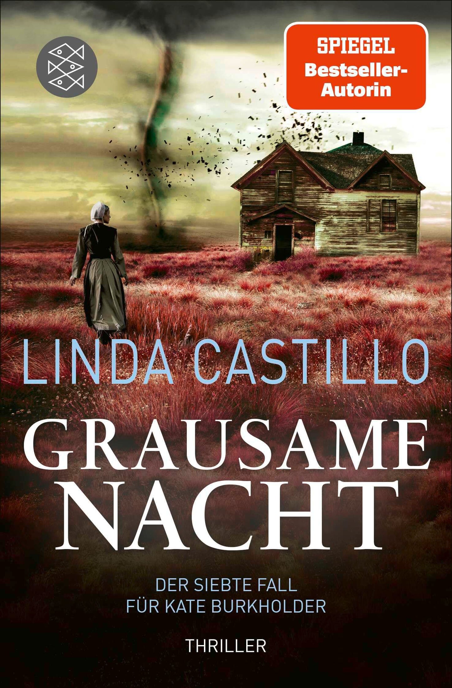 Grausame Nacht: Thriller | Spannender Thriller bei den Amischen (Kate Burkholder ermittelt, Band 7)