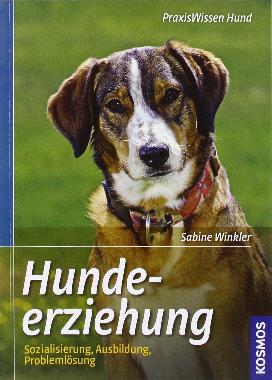 Hundeerziehung: Sozialisation, Ausbildung, Problemlösung (Praxiswissen Hund)