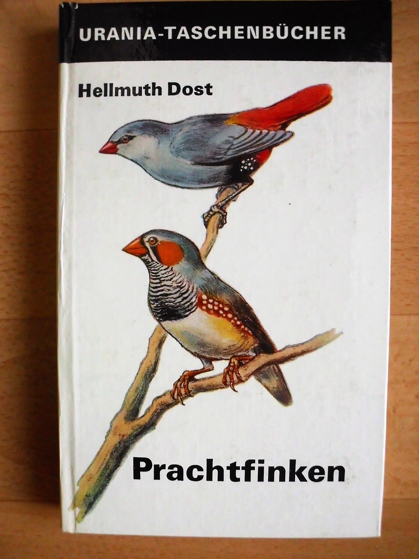 Prachtfinken.