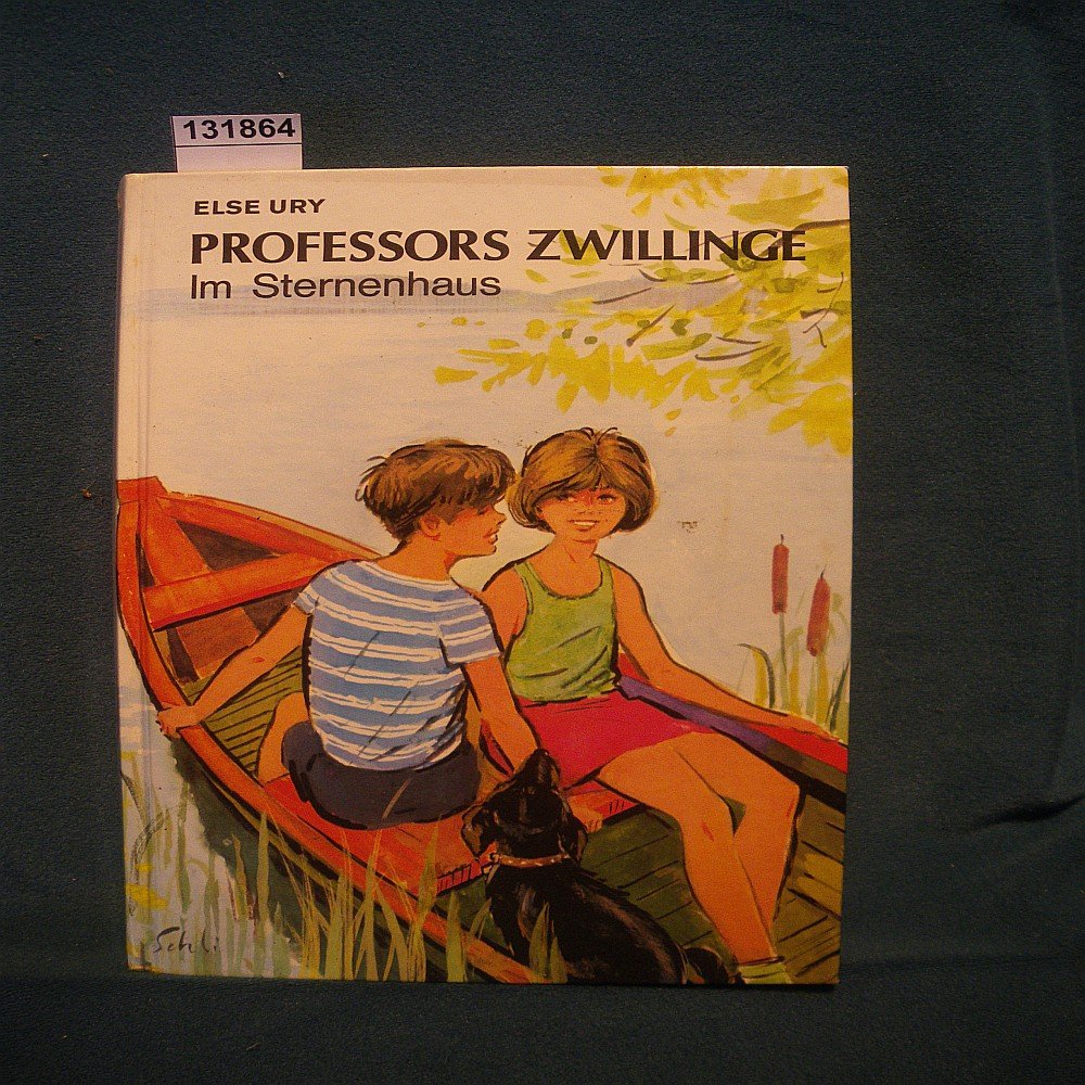 Professors Zwillinge im Sternenhaus - eine Geschichte für Jungen und Mädchen
