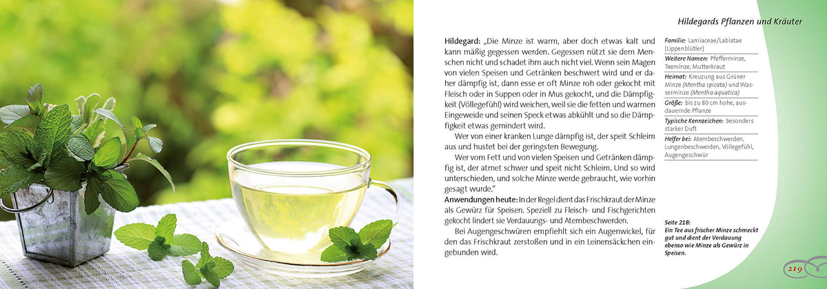Hildegard von Bingen: Bewährtes Heilwissen für Gesundheit und Wohlbefinden
