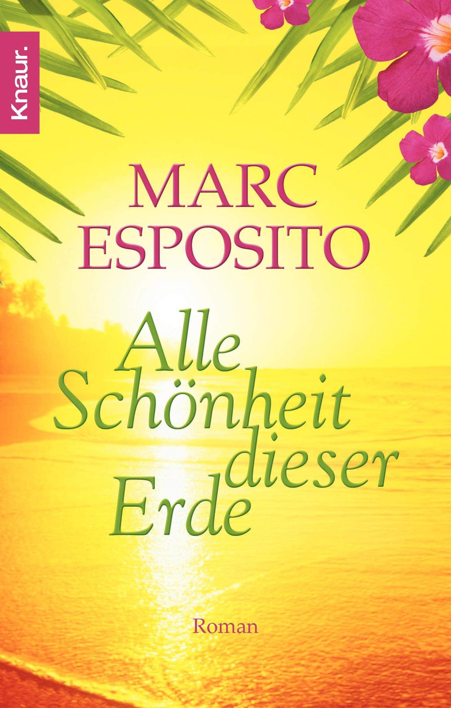 Alle Schönheit dieser Erde: Roman