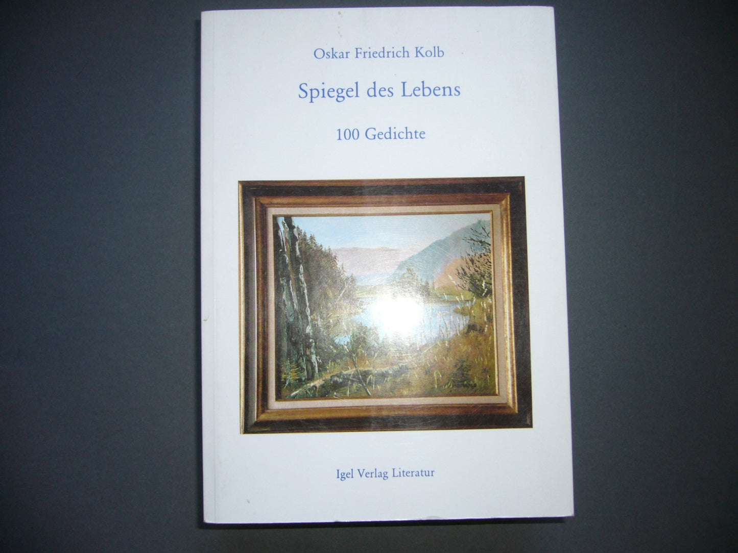 Spiegel des Lebens: 100 Gedichte