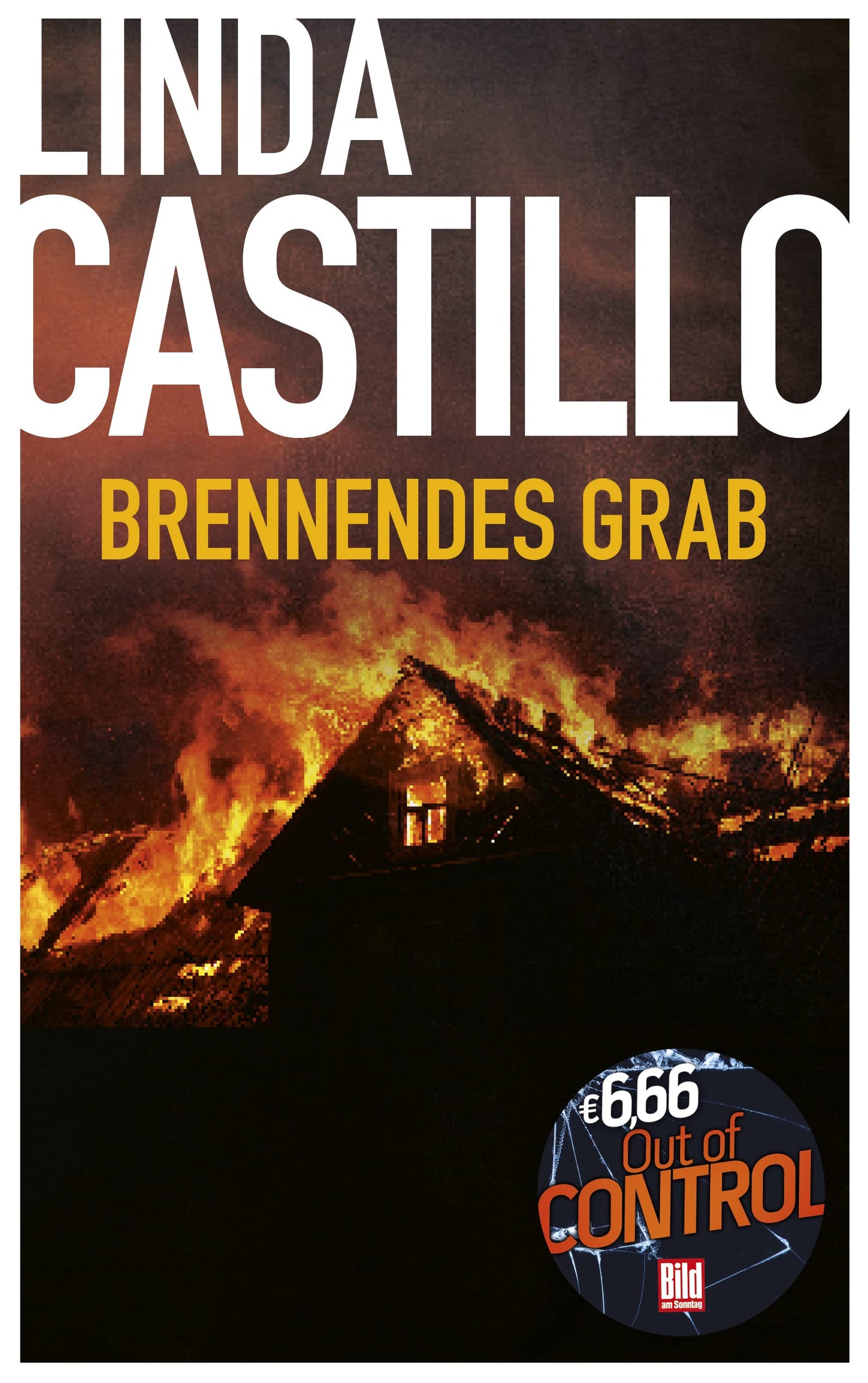 Brennendes Grab (BILD am Sonntag Mega-Thriller 2022: Out of Control)
