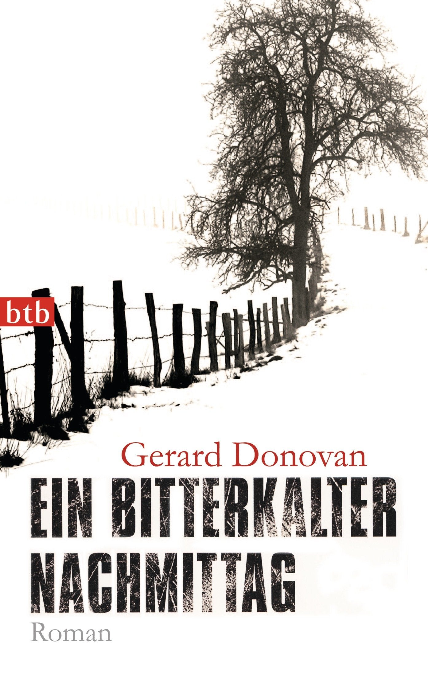 Ein bitterkalter Nachmittag: Roman