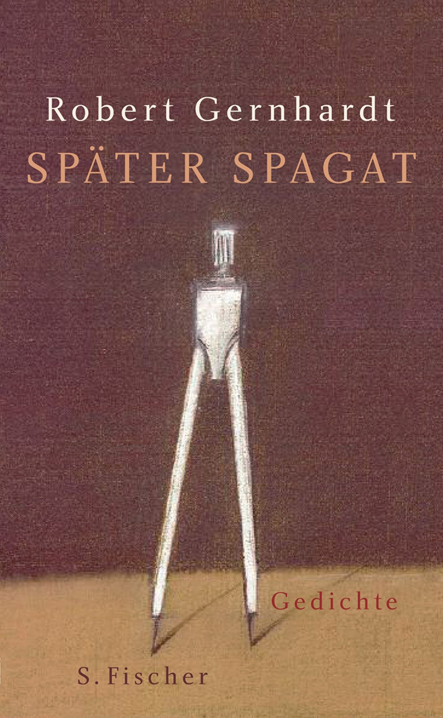 Später Spagat: Gedichte