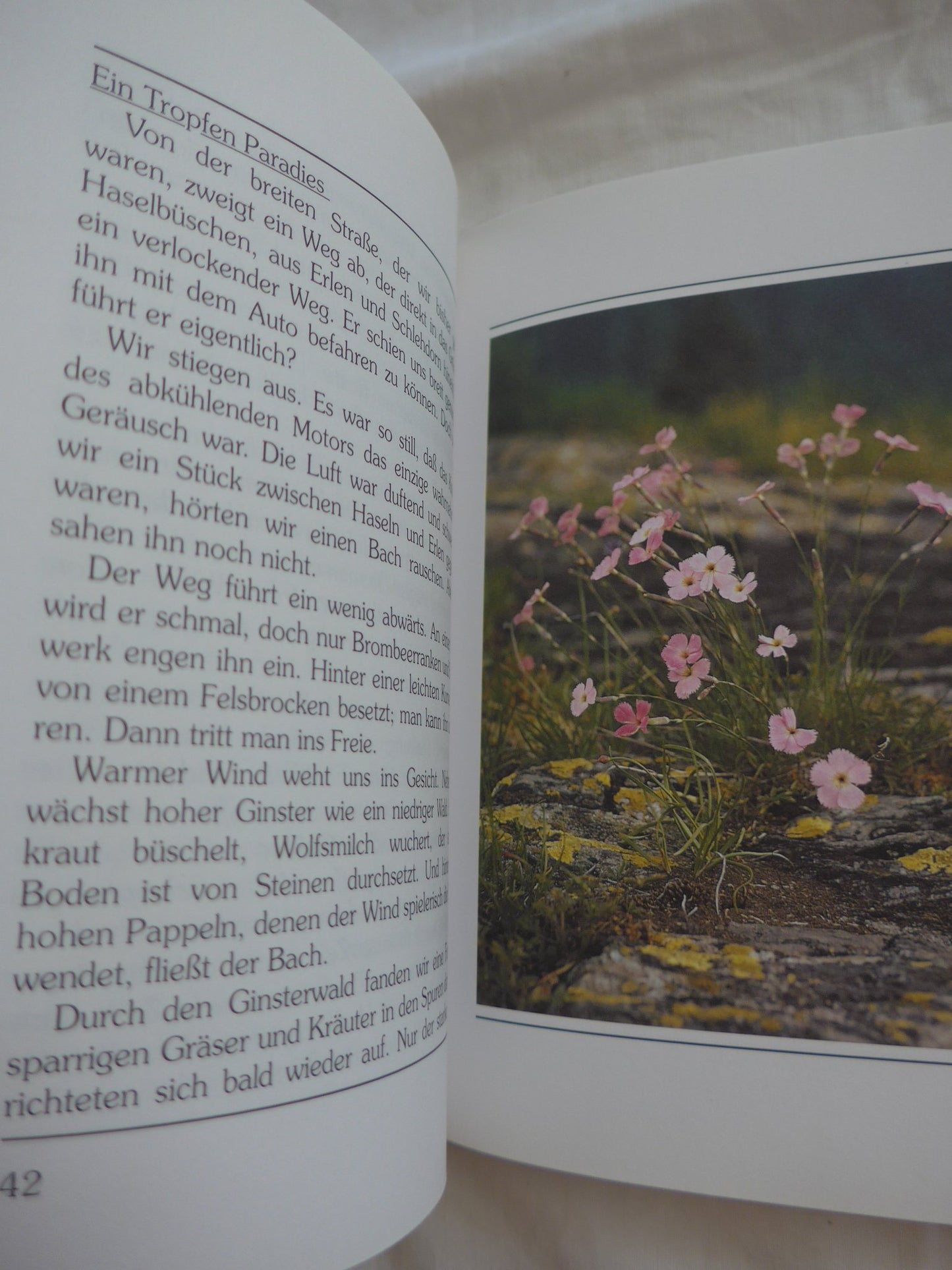 Fragen an das Paradies