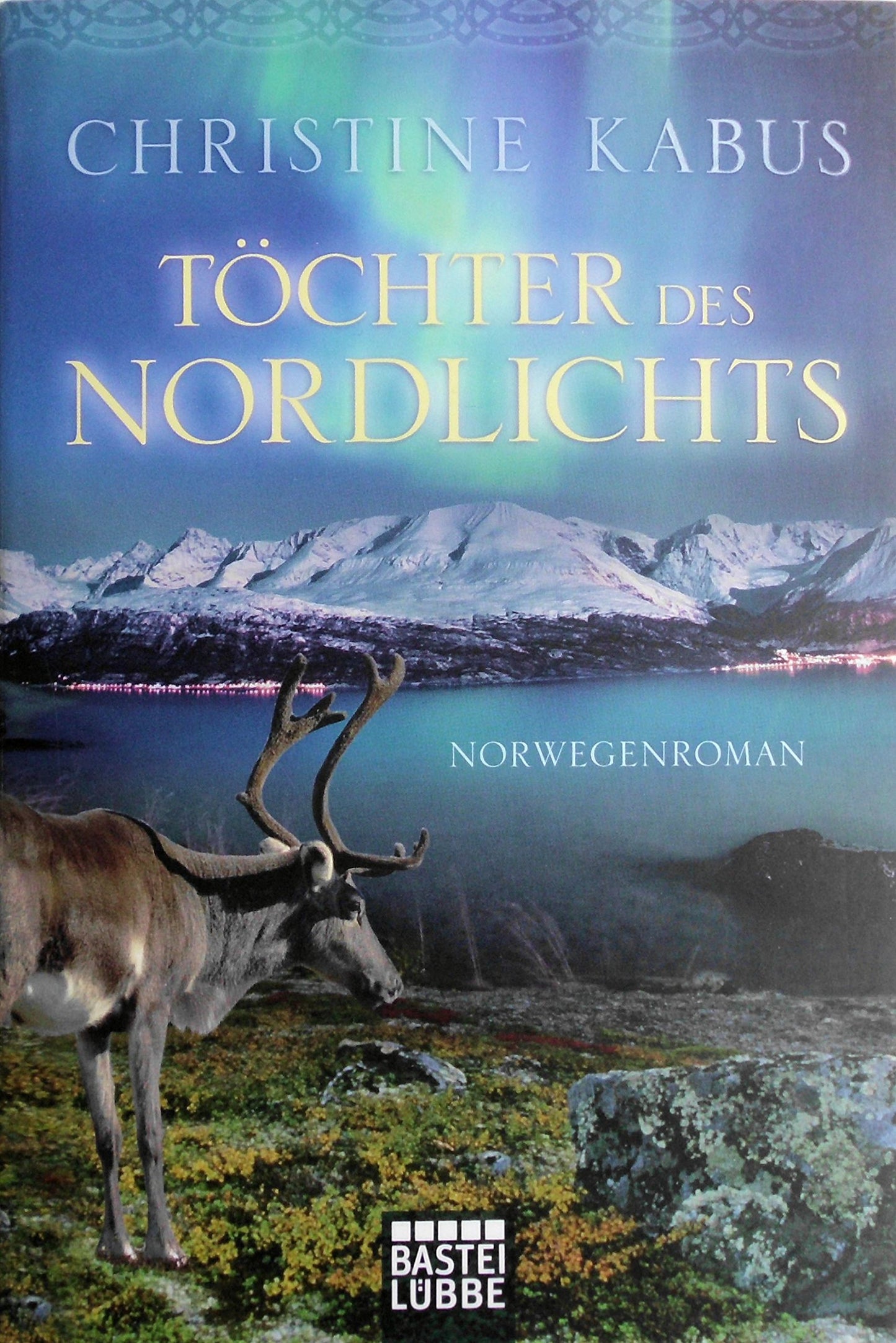 Töchter des Nordlichts: Norwegenroman