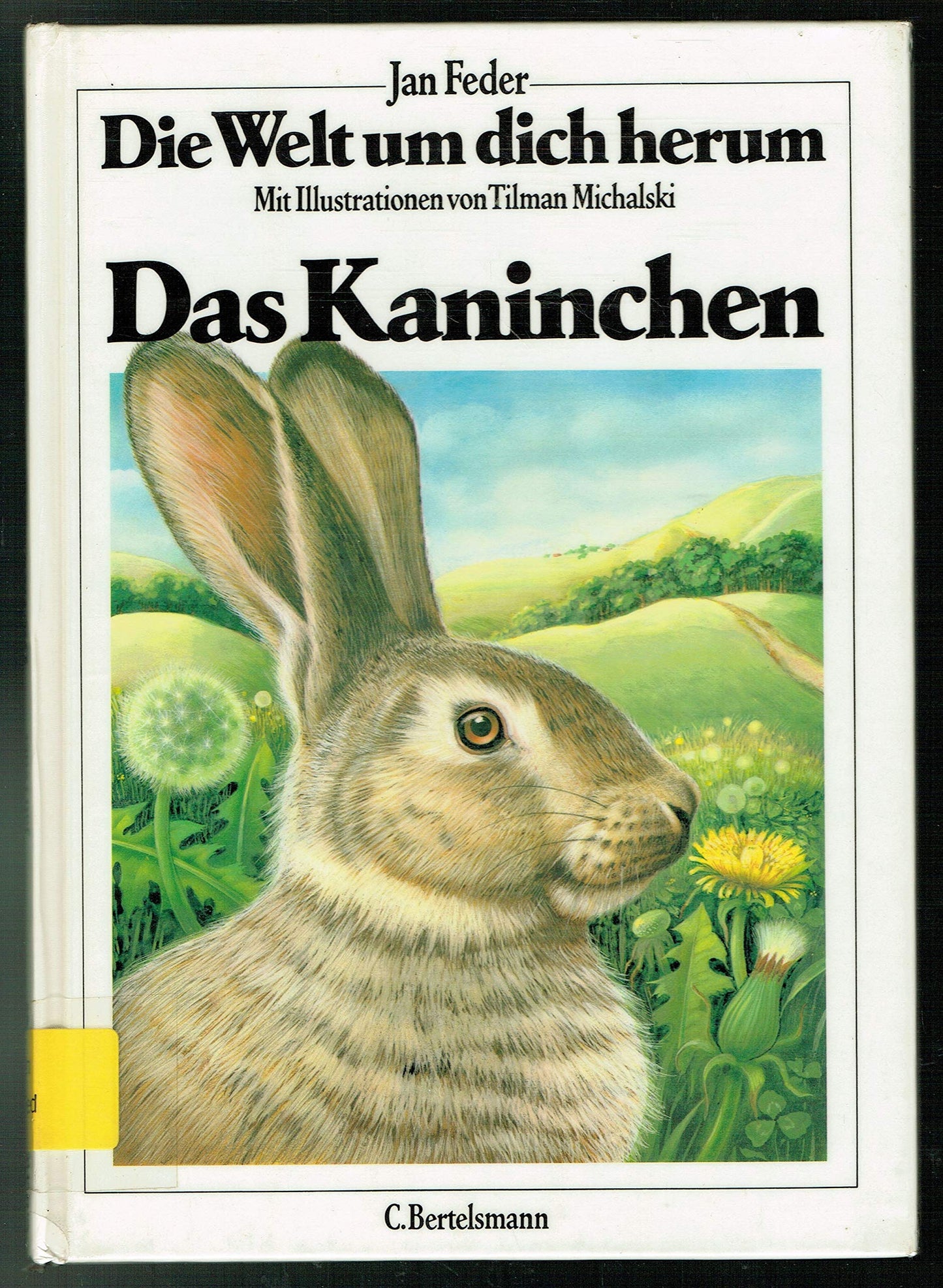 Die Welt um dich herum III. Das Kaninchen