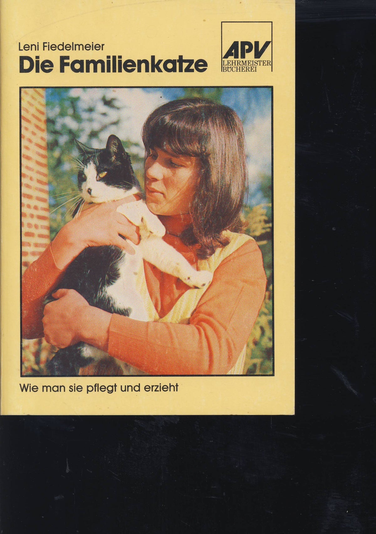 Die Familienkatze