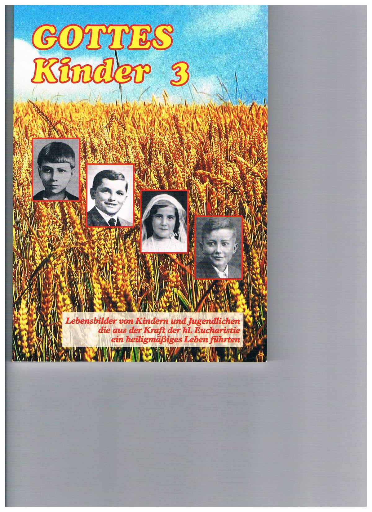 Gottes Kinder 3 - Lebensbilder von Kindern und Jugendlichen die aus der Kraft der hl. Eucharistie ein heiligmäßiges Leben führten