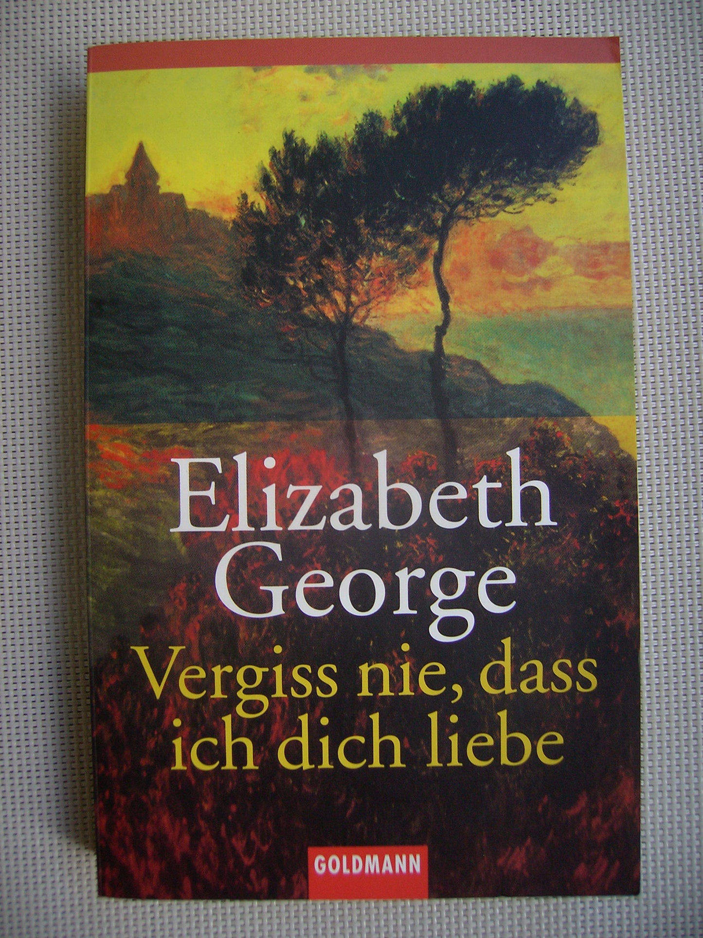 Vergiss nie, dass ich dich liebe: Erzählungen