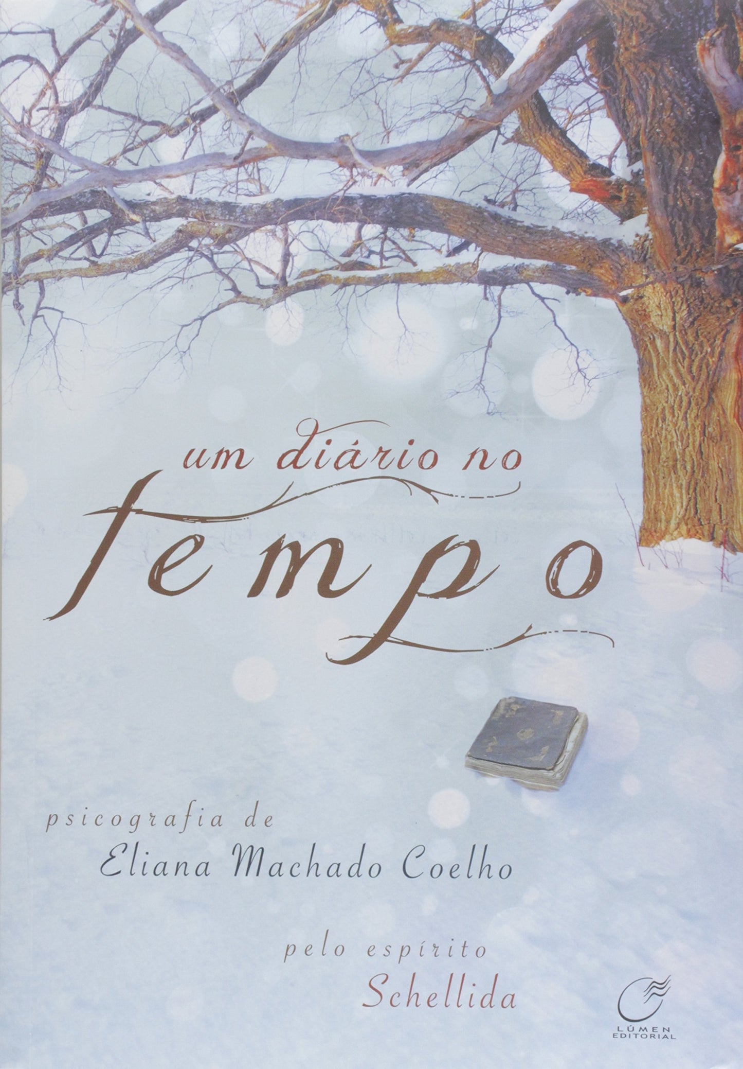 um diario no tempo