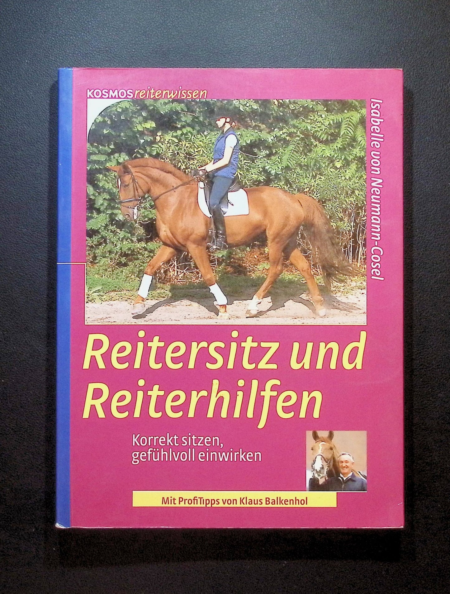 Reitersitz und Reiterhilfen: Korrekt sitzen, gefühlvoll einwirken