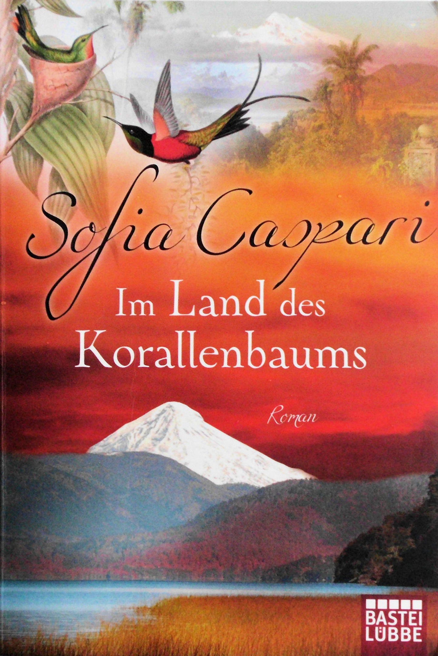 Im Land des Korallenbaums: Roman (ARGENTINIEN-SAGA, Band 1)
