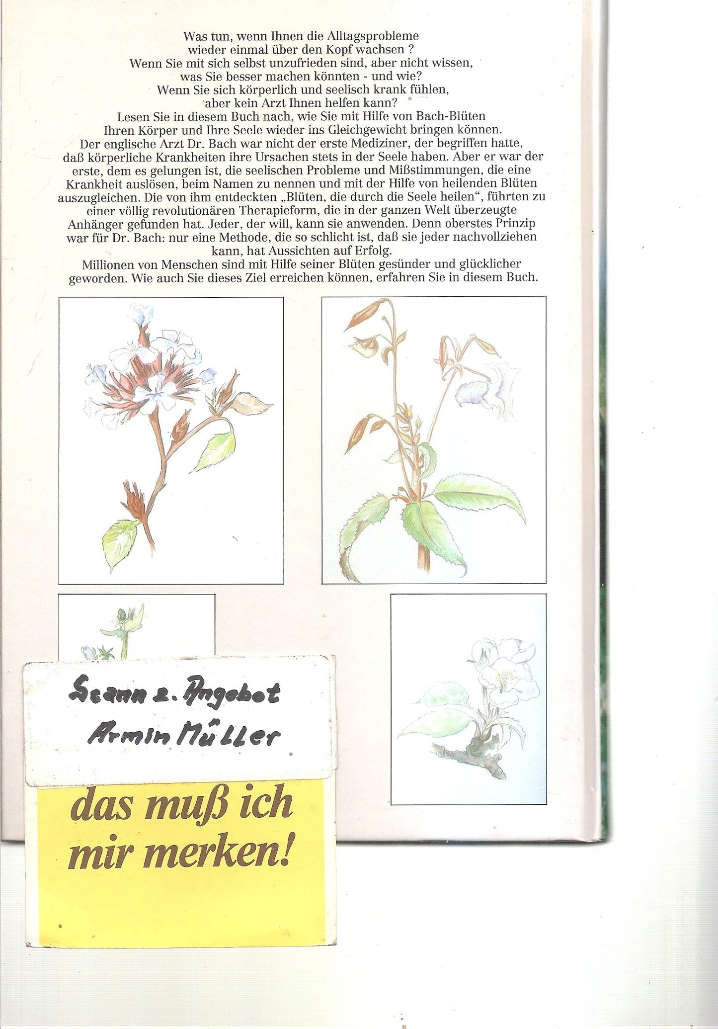 Bach - Blüten. Therapie für Körper und Seele