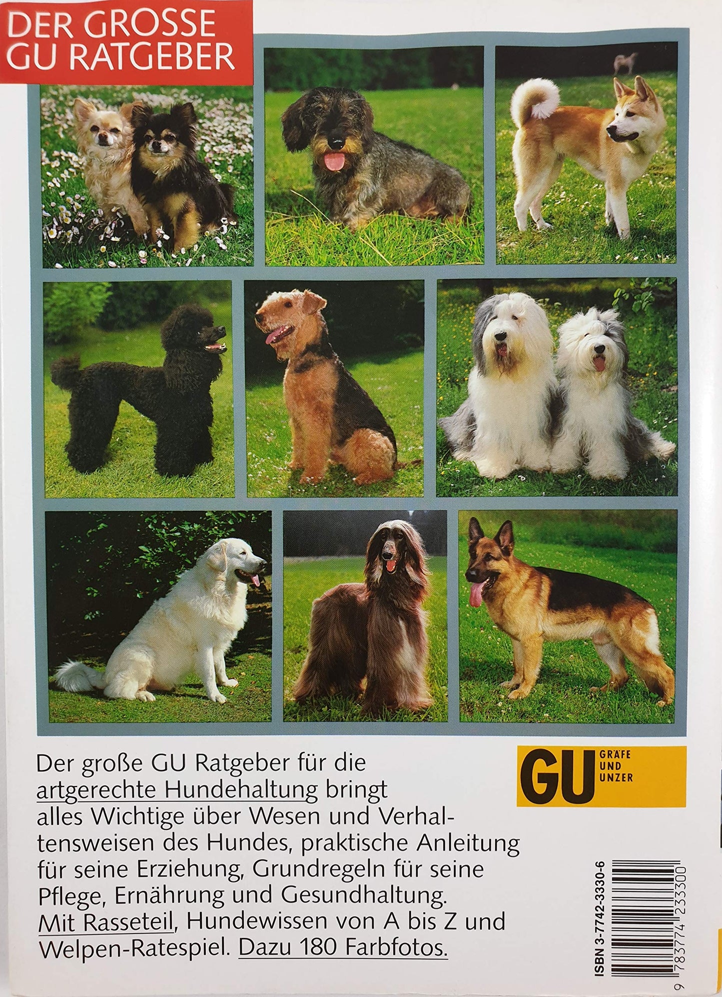Hunde. Experten- Rat für die Hundehaltung mit Herz und Verstand