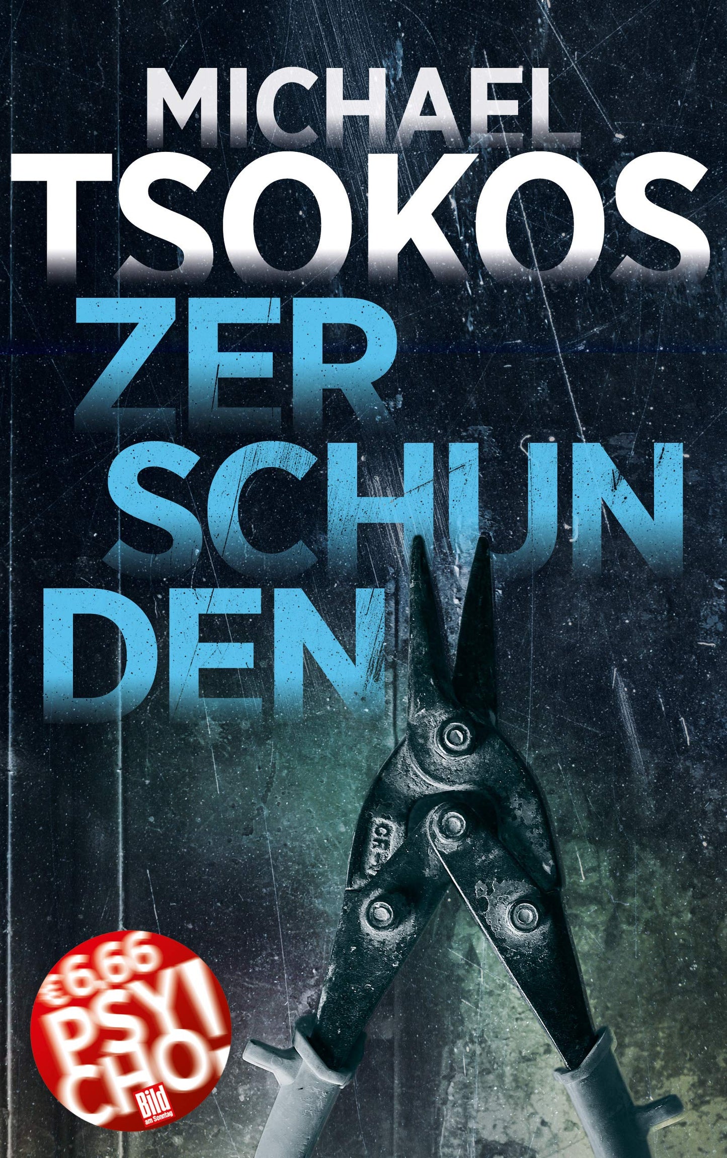 Zerschunden (BILD am Sonntag Mega-Thriller 2021: PSYCHO!)