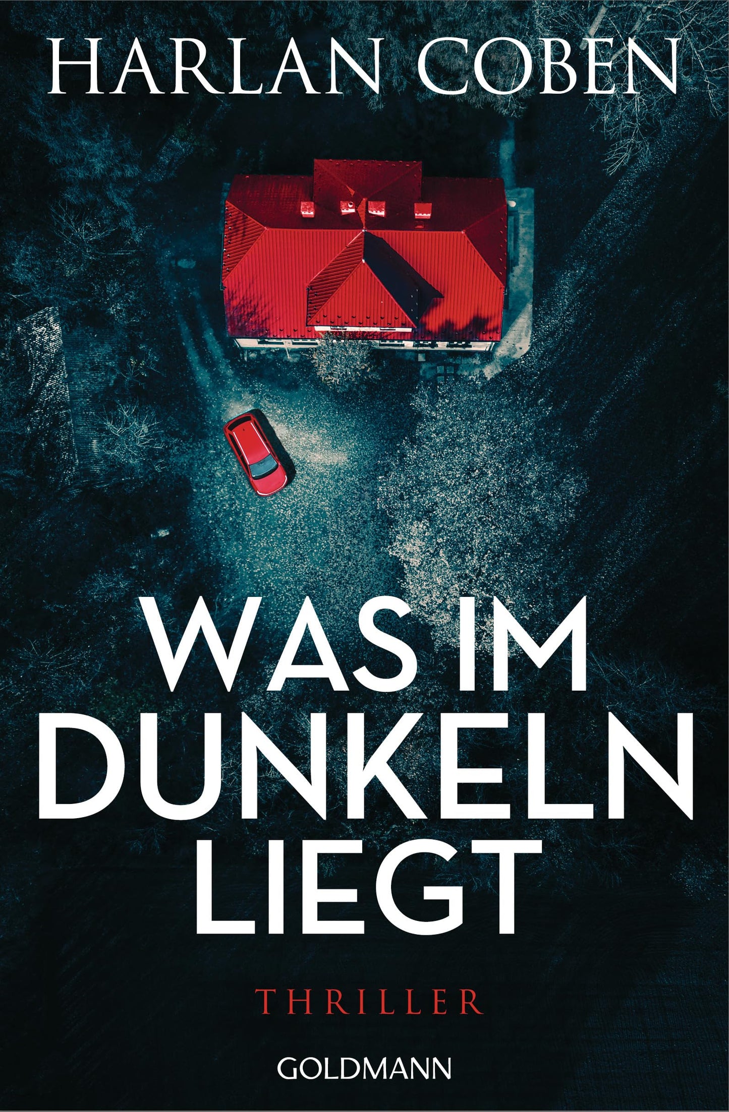 Was im Dunkeln liegt: Wilde ermittelt 2 - Thriller