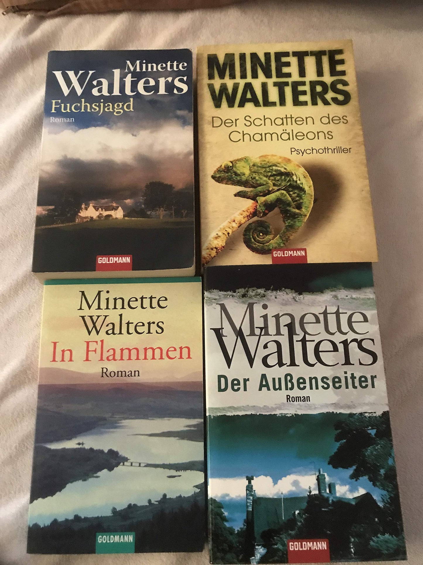 Minette Walters Konvolut 6 Bücher (Das Echo - Die Schandmaske - Im Eishaus - Wellenbrecher - Die Bildhauerin -Dunkle Kammern)