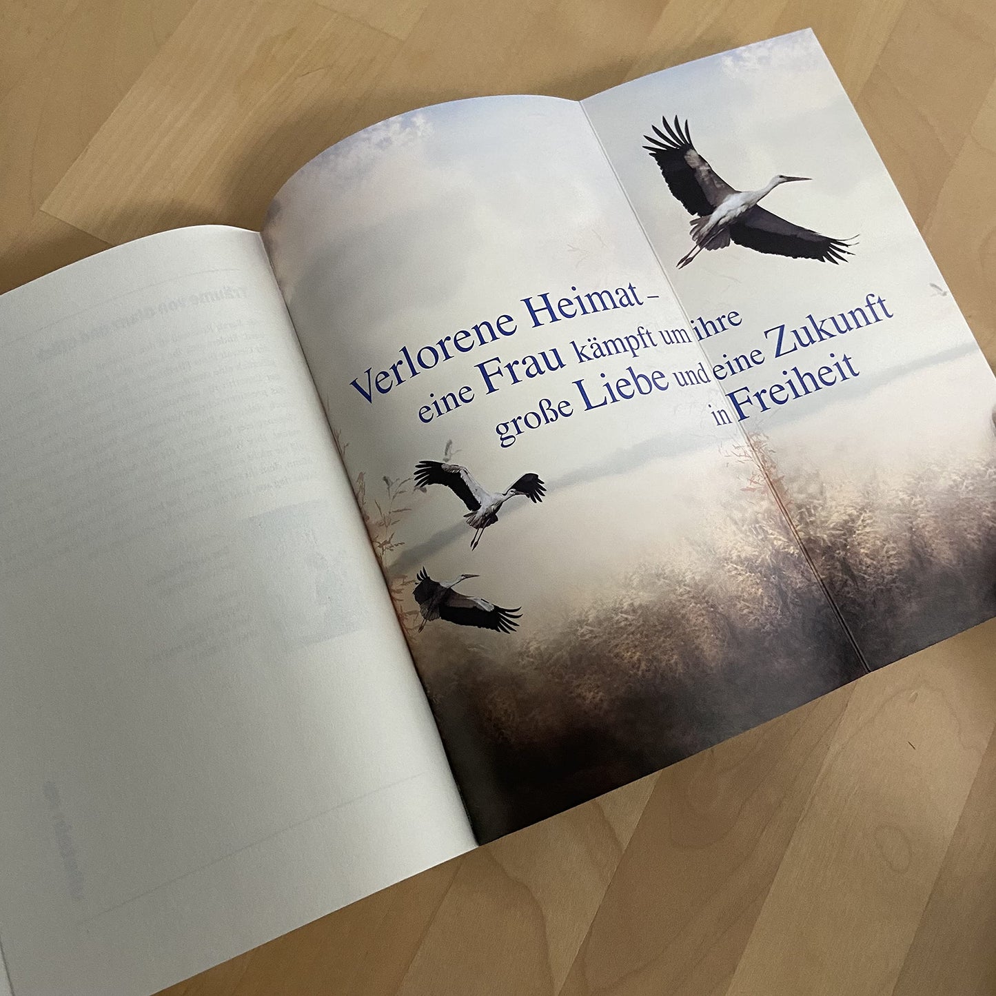 Die Heimkehr der Störche: Roman | Eine große Liebesgeschichte zur Zeit der deutsch-deutschen Teilung - inspiriert von wahren Begebenheiten (Die Gutsherrin-Saga, Band 2)