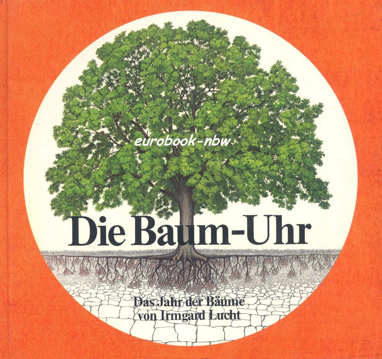 Die Baum-Uhr: Das Jahr der Bäume. Ab 6 Jahre