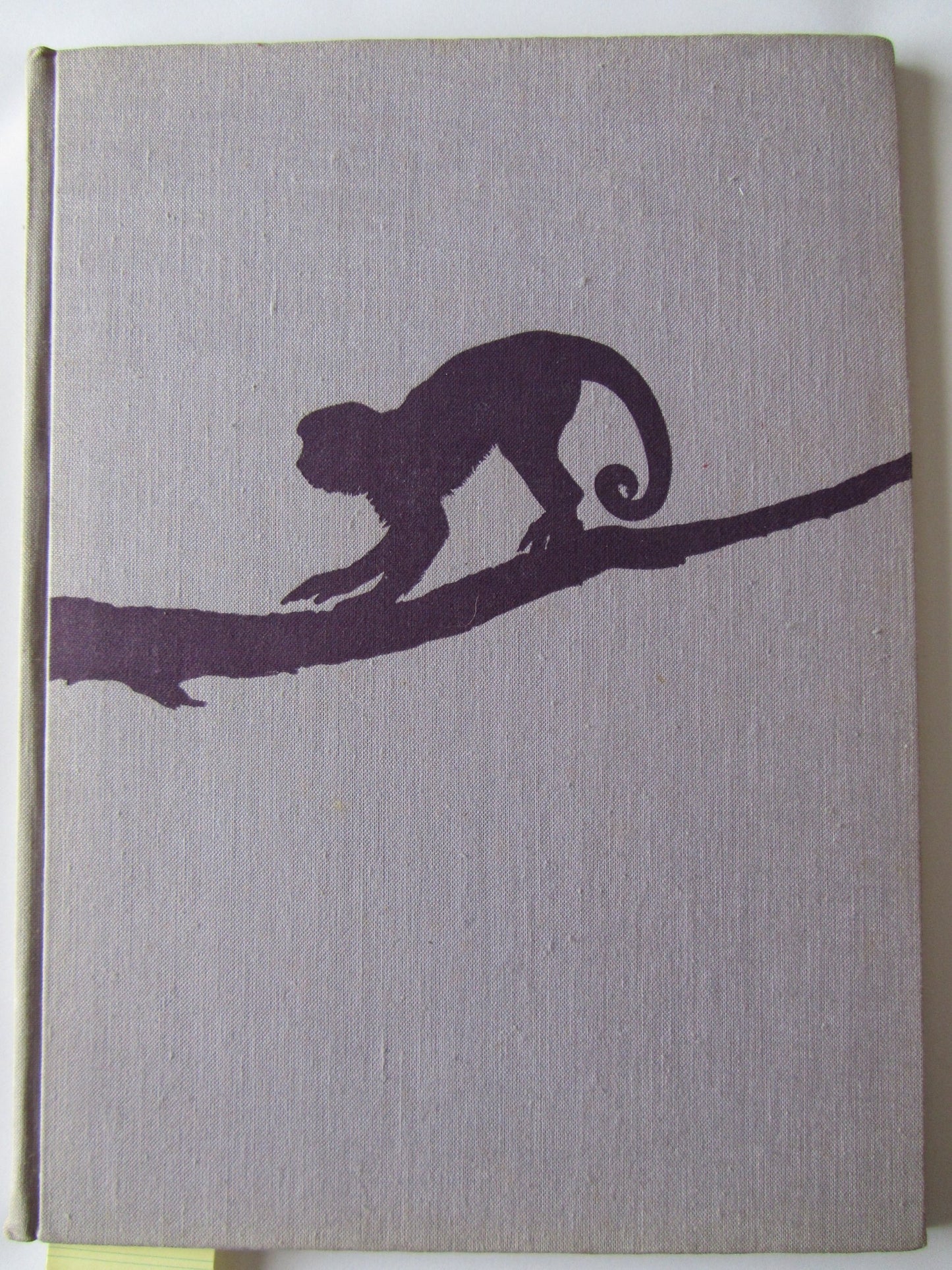 Das Affenbuch.