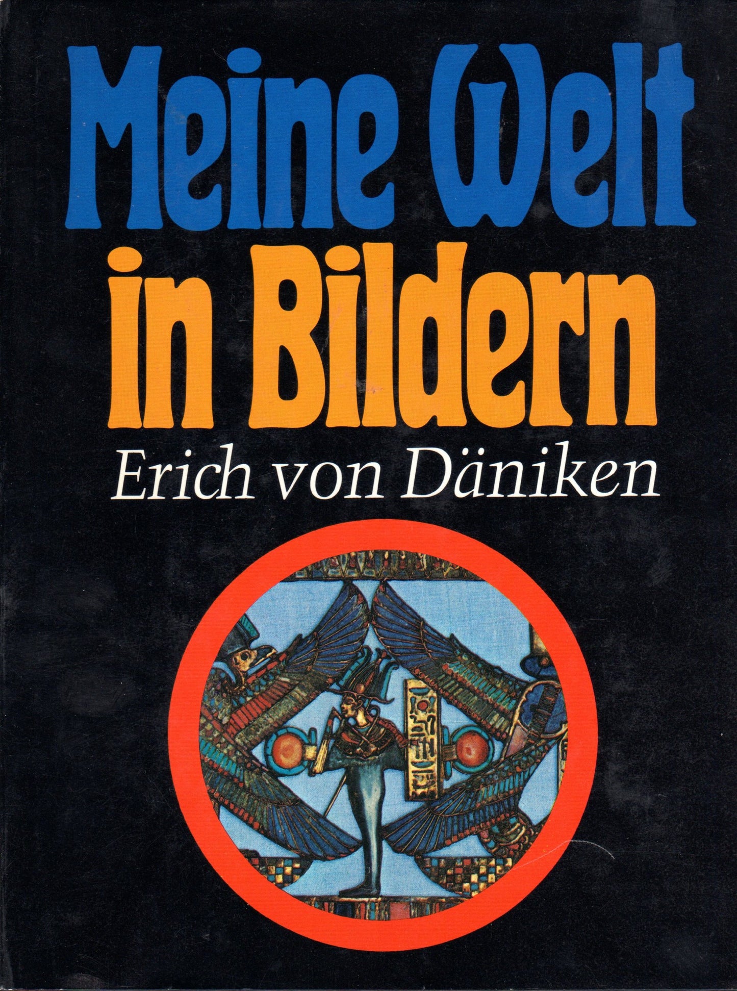 Meine Welt in Bildern. Bildargumente für Theorien, Spekulationen und Erforschtes
