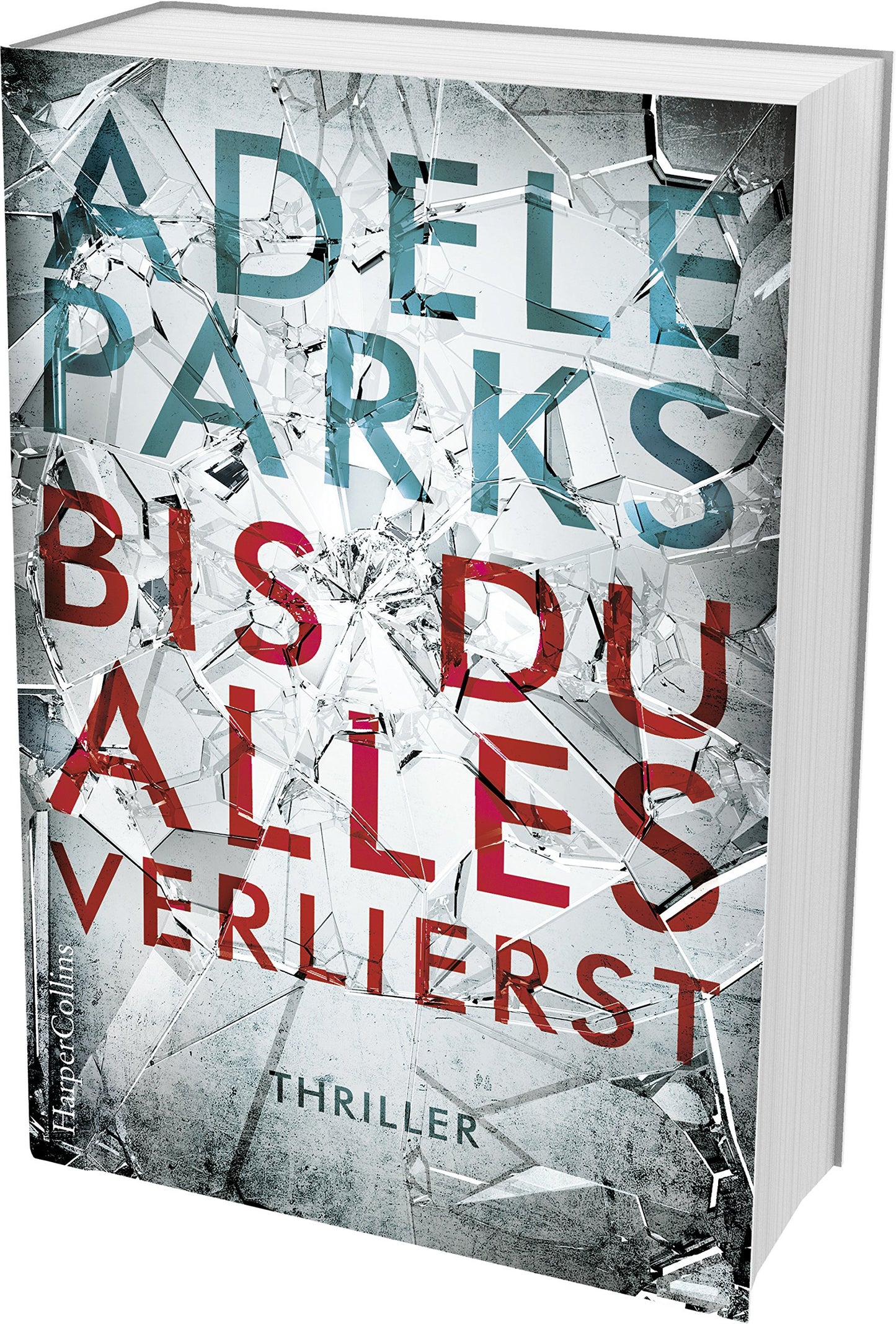 Bis du alles verlierst: Thriller